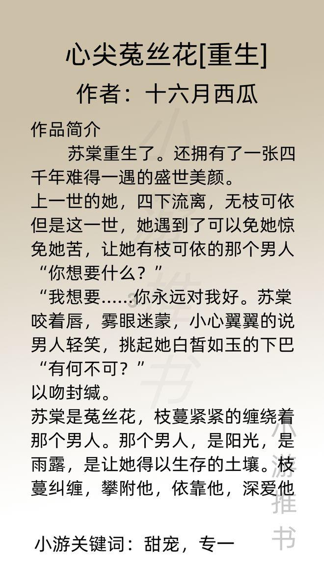 探探猫宝石岛2